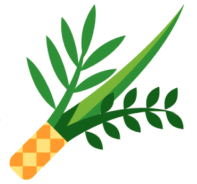 Lulav copy
